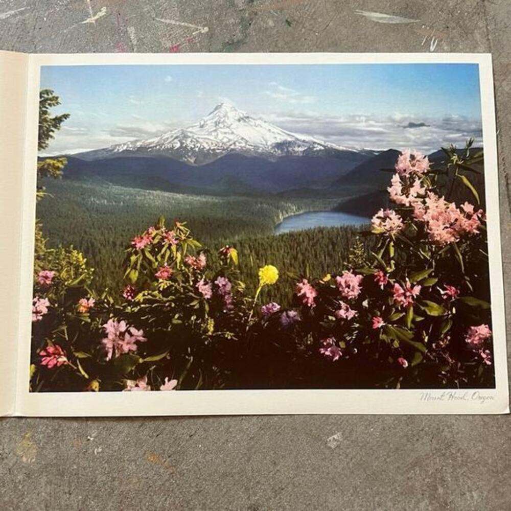 Vintage Photo Prints, Photography, Mt. Hood Retro Decor Portland Oregon